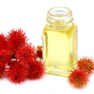 castor oil organic ingredient