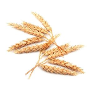 colloidal-oatmeal colloidal oatmeal