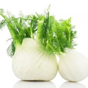 fennel