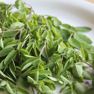 moringa-en moringa